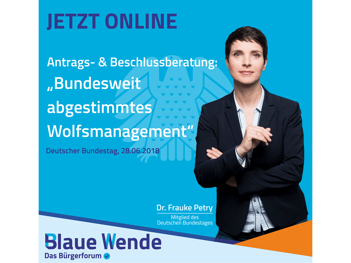 Schutz von Wolfs-Hund-Mischlingen ist Steuergeldverschwendung