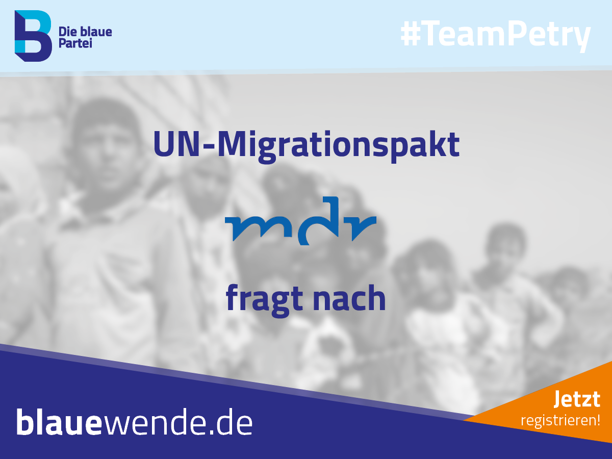 Frauke Petry im MDR zu den Folgen des UN-Migrationspakts