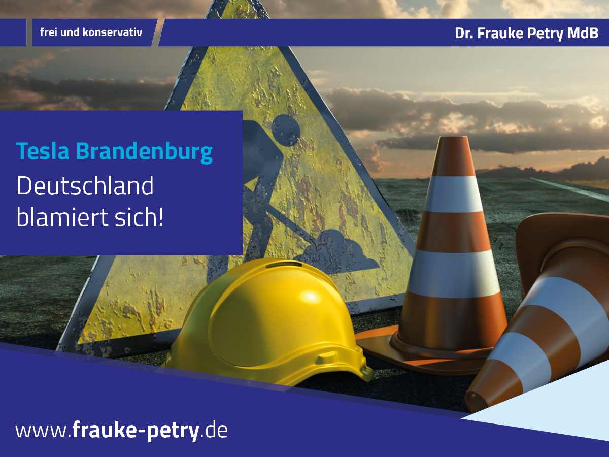 +++ Tesla: Deutschland blamiert sich +++