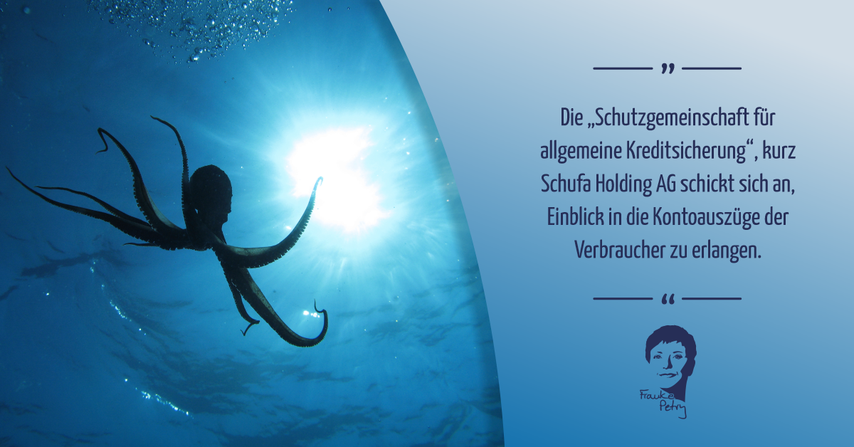 +++ Datenoktopus in freier Wildbahn +++