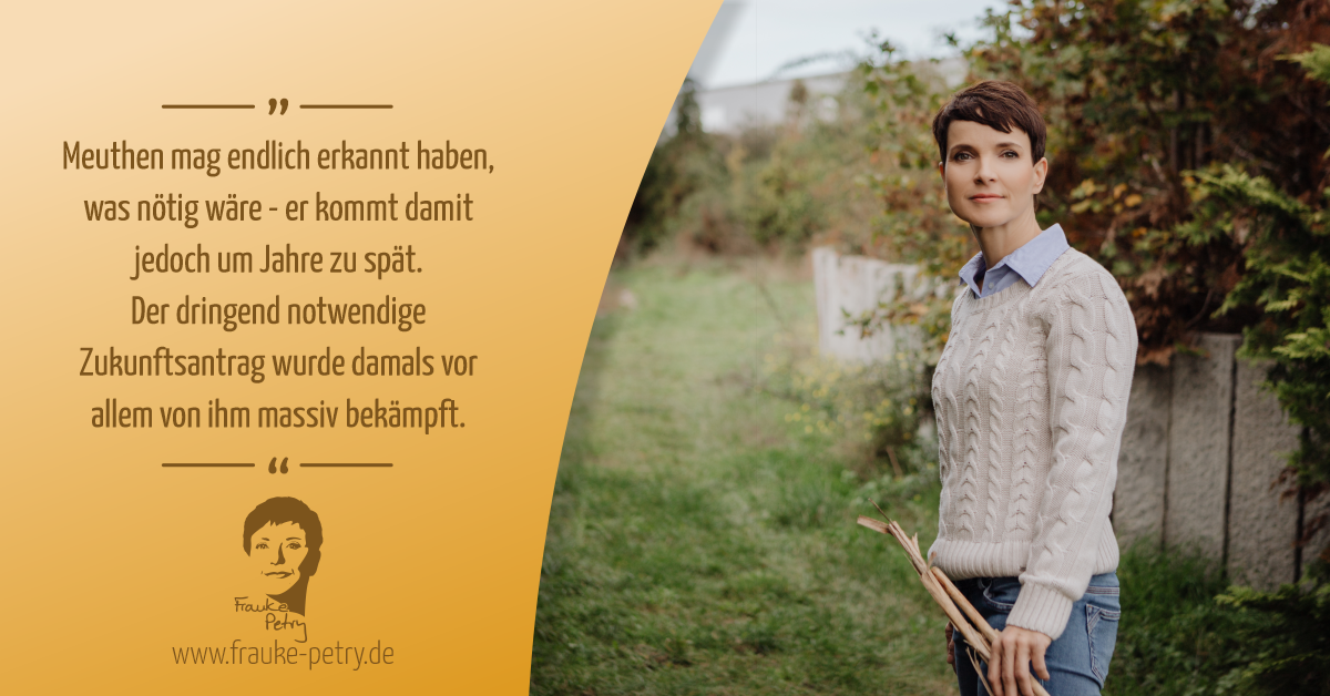 +++ Nachbetrachtung AfD Bundesparteitag +++