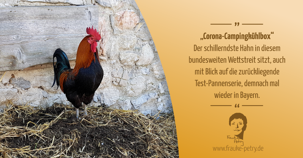 +++ Vom Misthaufen und einem bayrischen Hahn +++